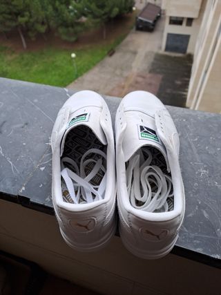 Puma