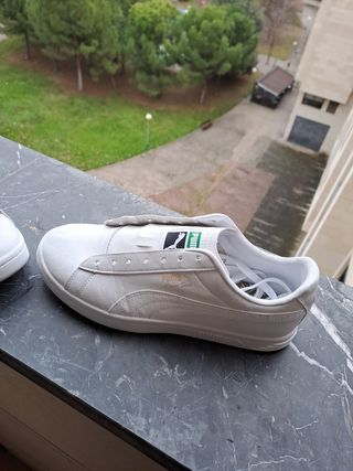 Puma