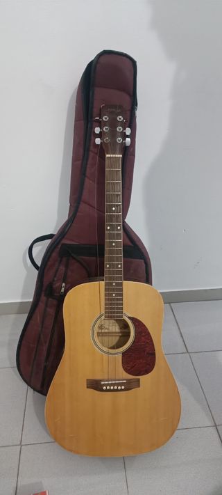 Guitarra acustica y con funda