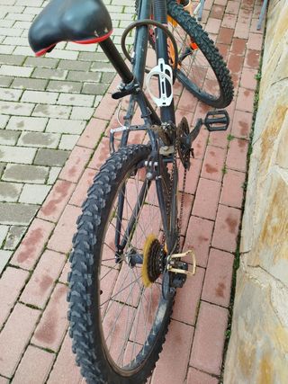 Bicicleta 
