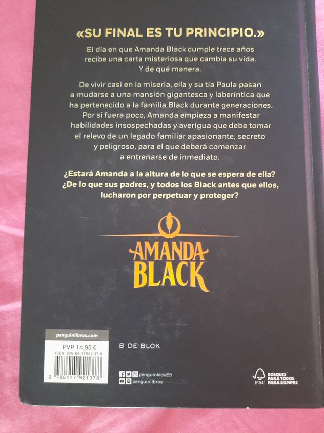 Libro Amanda Black, una herencia peligrosa
