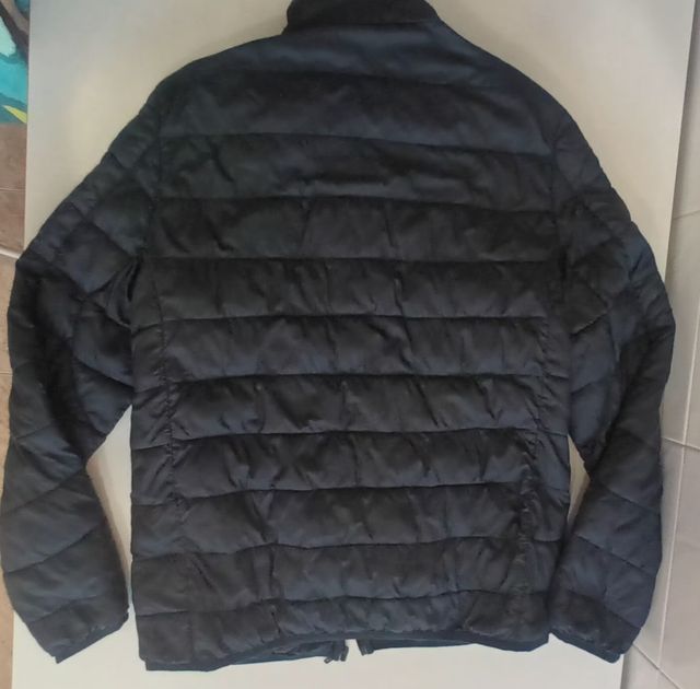 Plumas fino verde oscuro