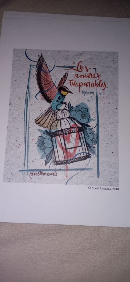 Los amores imparables (edición especial)