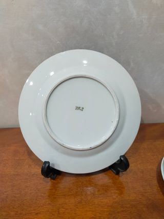 Piatti giapponesi 
