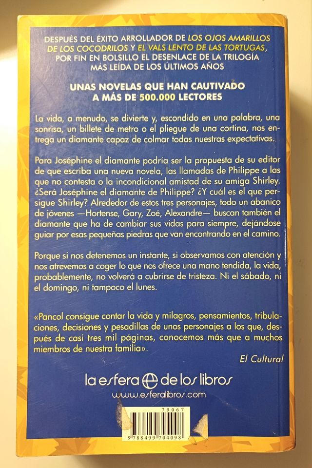 Las ardillas de Central Park están tristes los lunes