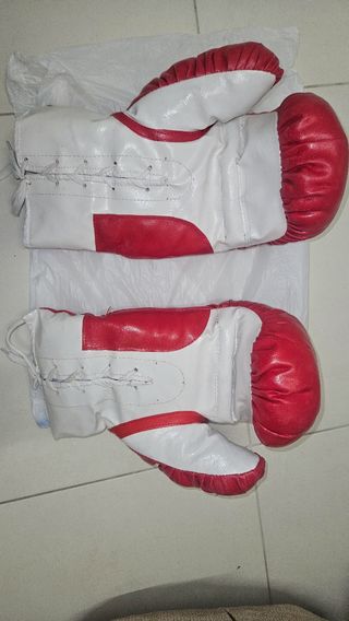 Saco de boxeo con guantes de regalo