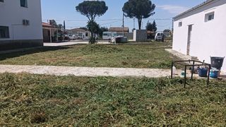 Desbroce de parcelas