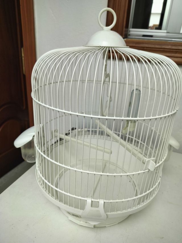 Jaula pájaro