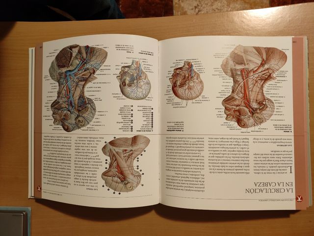 ANATOMIA Atlas Ilustrado. Extraordinario sobre el
