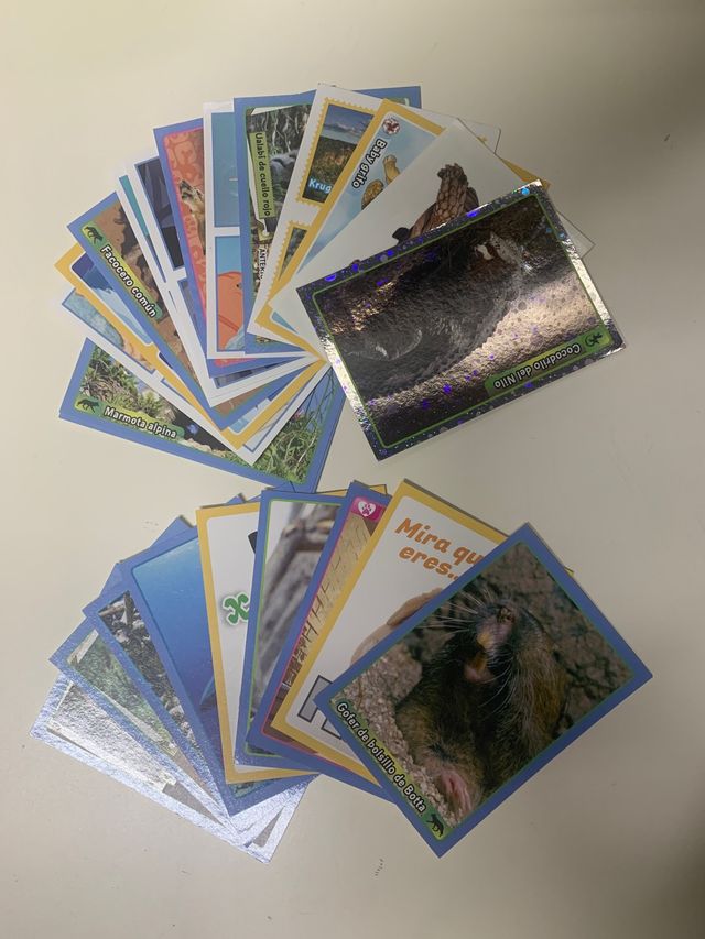 Adesivi da collezione dall'album Animals 2013