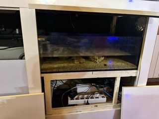 ACUARIO MARINO 1000 LITROS