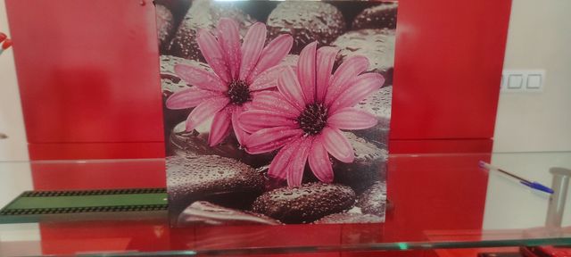 Lamina cuadro floral.