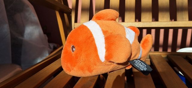 Pez payaso de nemo