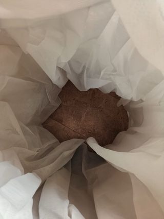 Ahuecador de fallera