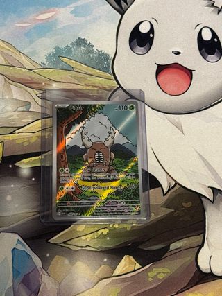 Cartas Pokemon