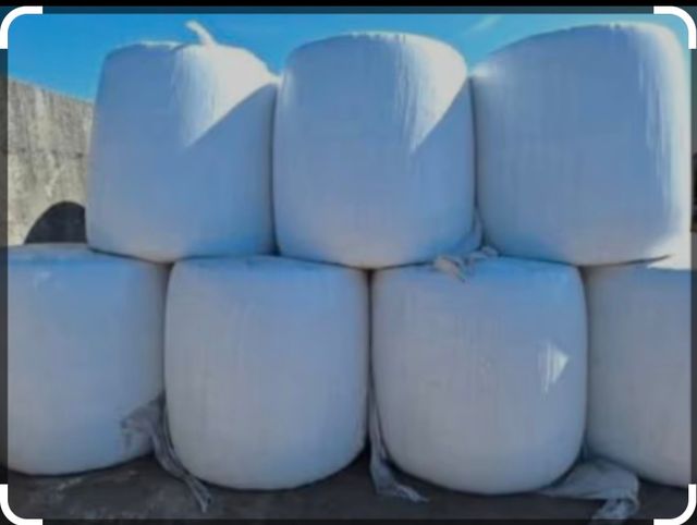 Bolos de soja con grano