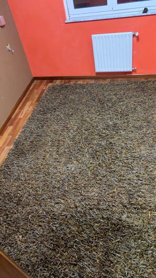 Alfonbra de grande 3m x 2m