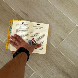 Geronimo Stilton Varis