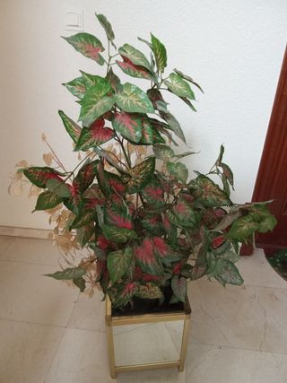 Pie de maceta ..