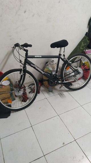 Bicicleta mitical adulto