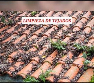 REPARACIÓN DE TEJADOS GOTERAS CANALONES