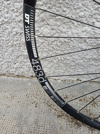 CERCHIO MTB 29" DT SWISS - NO BOOST