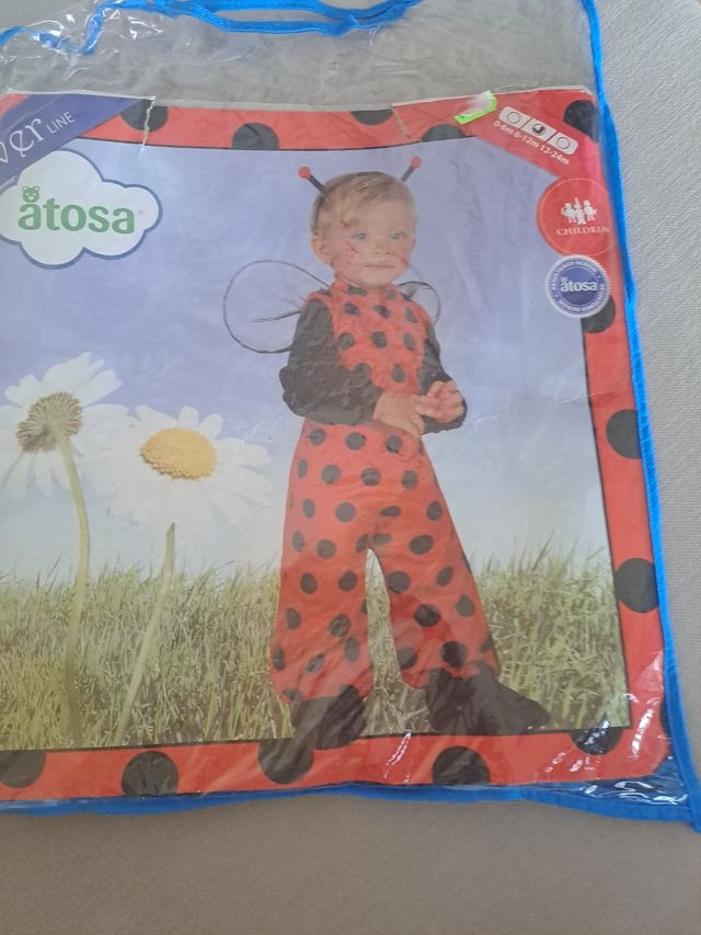 Disfraz de mariquita niños 6 a 12 meses