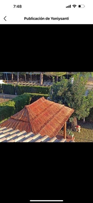 Sombrillas de carri verzo mimbre