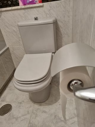 Pileta y wc gris Roca