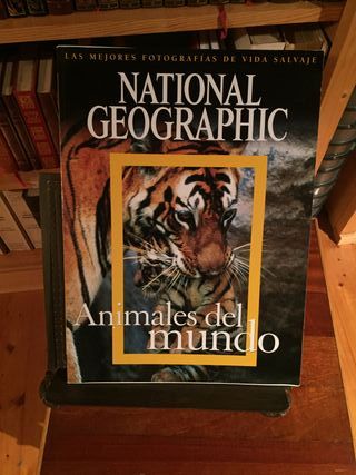 Tres especiales de National Geographic