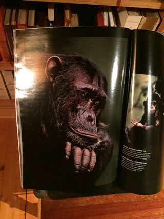 Tres especiales de National Geographic