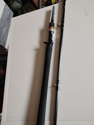 Caña Daiwa 