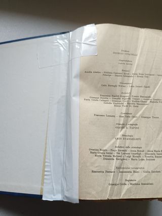 Dizionario della lingua italiana