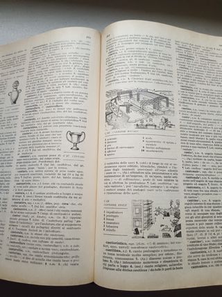 Dizionario della lingua italiana