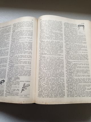 Dizionario della lingua italiana