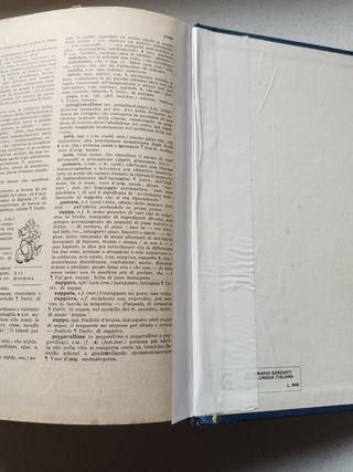 Dizionario della lingua italiana