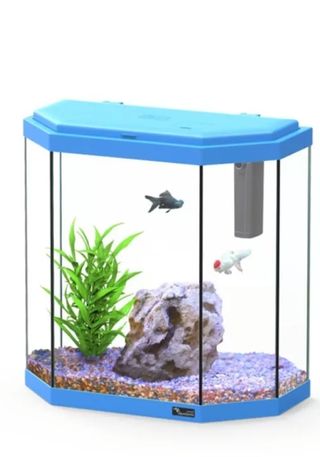 Acuario 30 litros