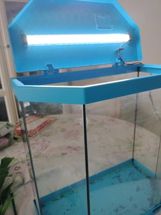 Acuario 30 litros