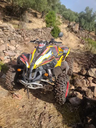 Can-am renegade 800