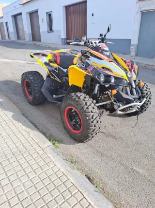 Can-am renegade 800