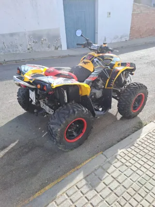 Can-am renegade 800