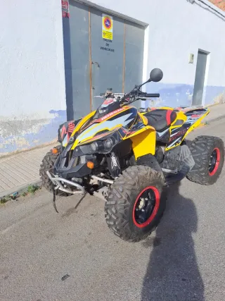 Can-am renegade 800
