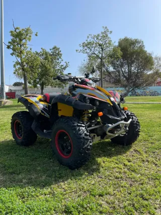 Can-am renegade 800