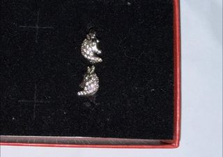 Pendientes de plata 