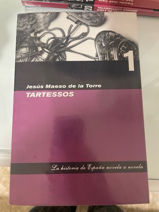 Historia de españa novela a novela 20 tomos