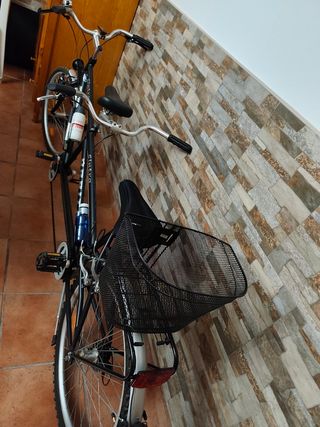 Bicicleta Tandenn