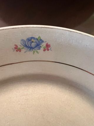 Platos San Claudio Oviedo fl azul M