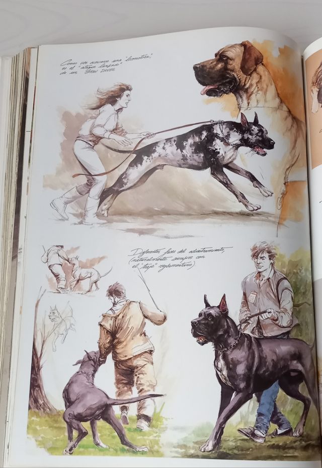 Perros, Color y Forma (Spanish Edition)
