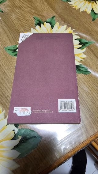 Libro: bruttona e lingua lunga- Joyce