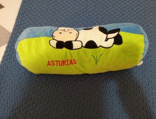 Cojín Asturias